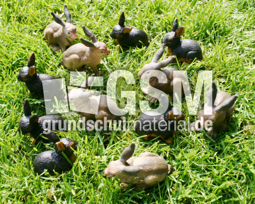 Kaninchen-6+6.jpg